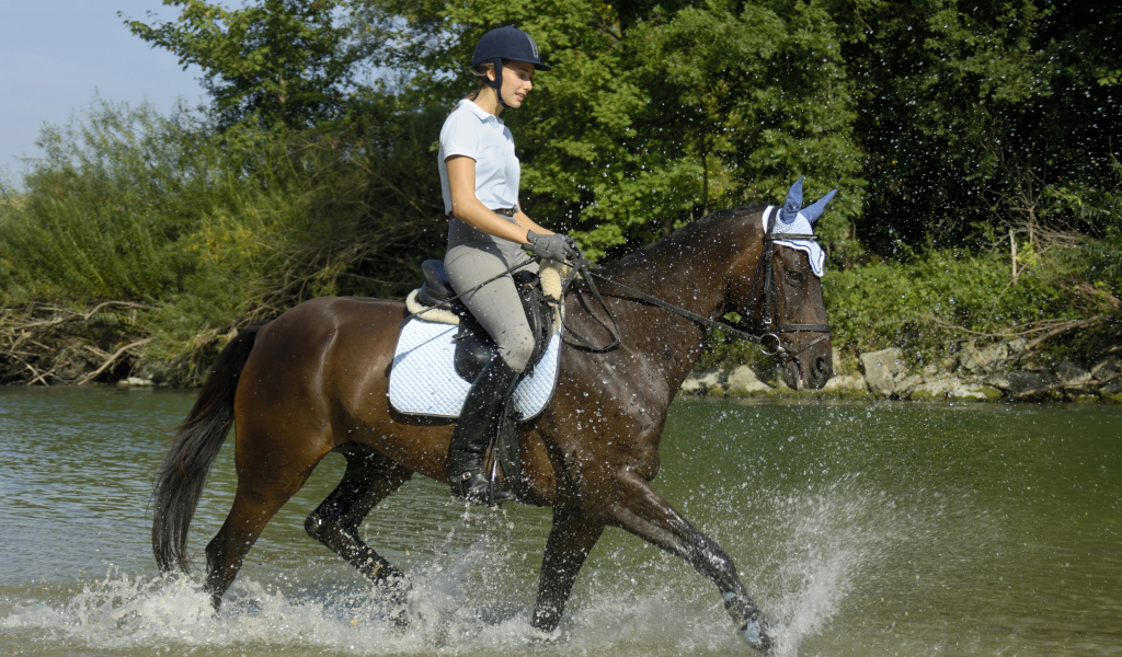 Молодая девушка на лошади скачет по воде