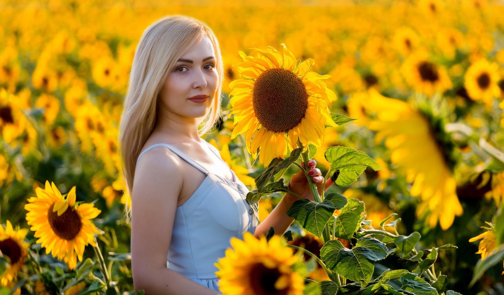 Красивая блондинка в цветущих подсолнухах 
