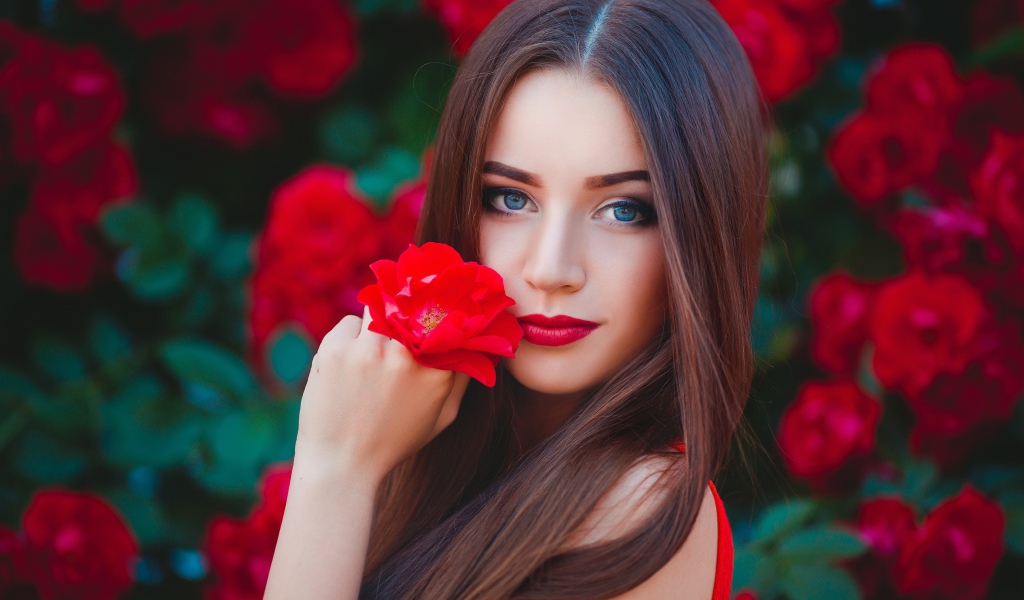 Красивая голубоглазая девушка с красной розой в руке