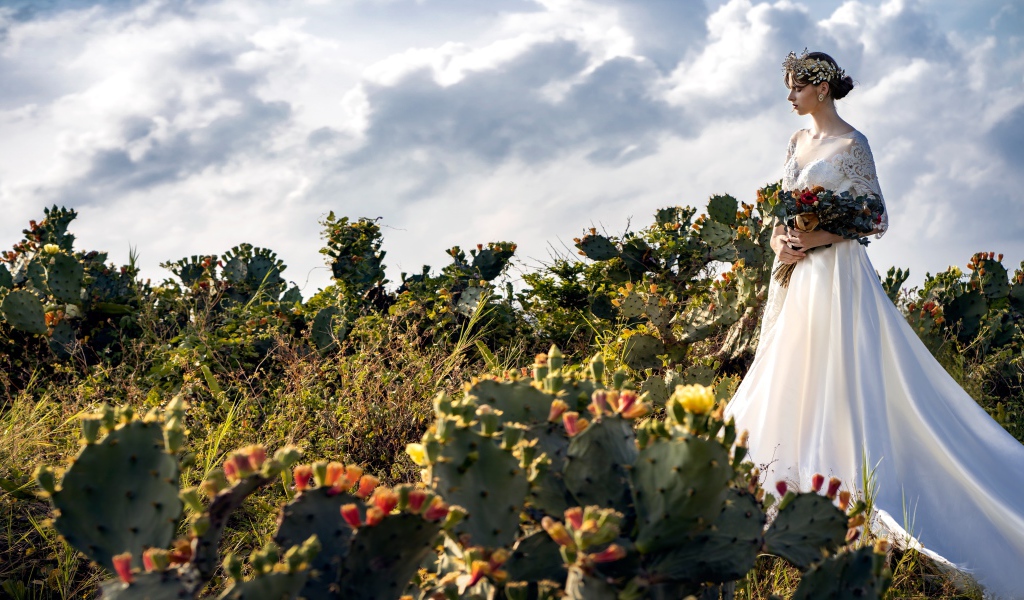 Красивая девушка в белом свадебном платье на поле с кактусами