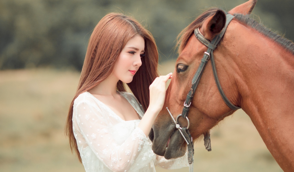 Красивая длинноволосая азиатка гладит лошадь