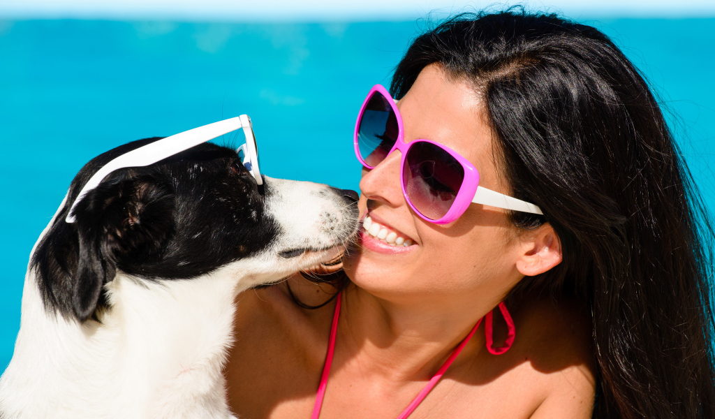 Красивая улыбающаяся девушка в солнечных очках с собакой 