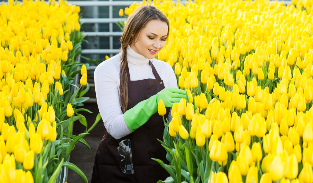 Красивая молодая девушка ухаживает за желтыми тюльпанами