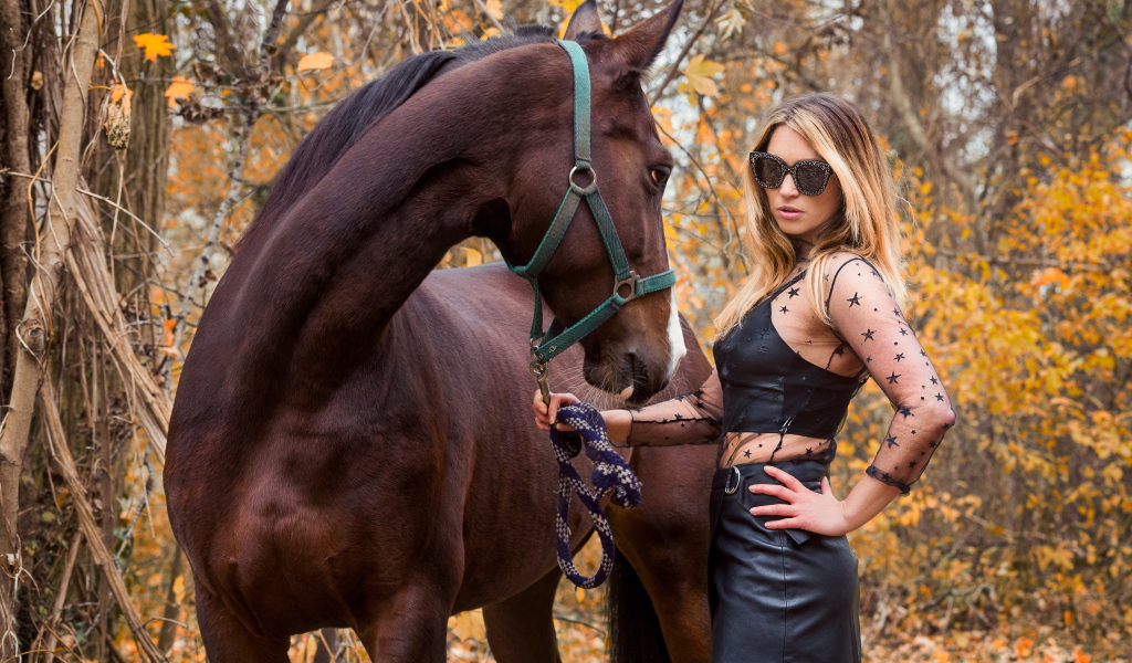 Стильная девушка в черном наряде с лошадью