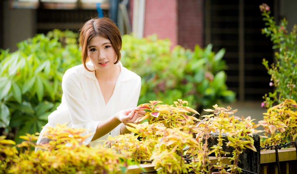 Молодая девушка азиатка с комнатными цветами