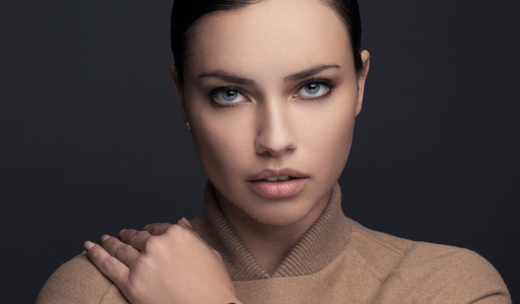 Бразильская супермодель Адриана Лима фото на сером фоне