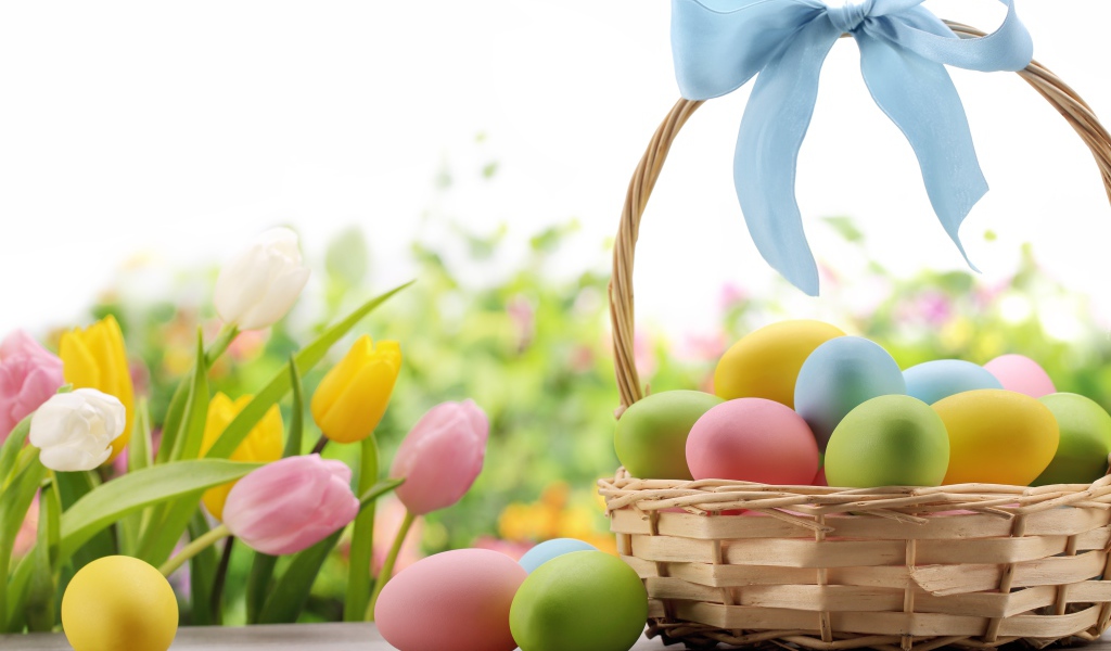 Корзина крашеных яиц с голубым бантом  на фоне тюльпанов на  Пасху