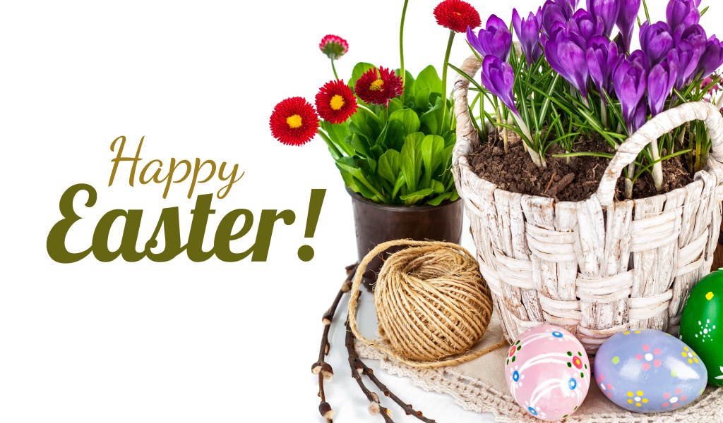 Весенние цветы и крашеные яйца на Пасху