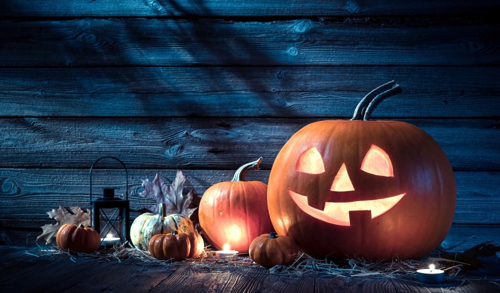 Тыквы на праздник Хэллоуин, 31 октября
