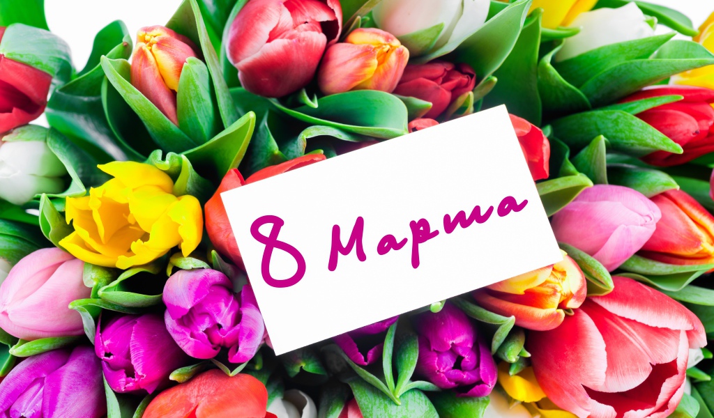 Красивый букет разноцветных тюльпанов на Международный Женский день 8 марта