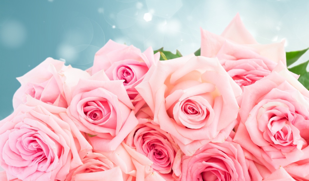 Большой красивый букет розовых роз в подарок на 8 марта