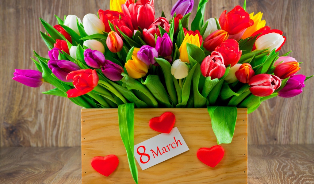 Ящик разноцветных тюльпанов на Международный женский день 8 марта