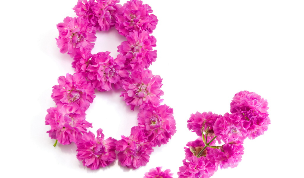 Восьмерка из розовых цветов гвоздики на Международный женский день 8 марта