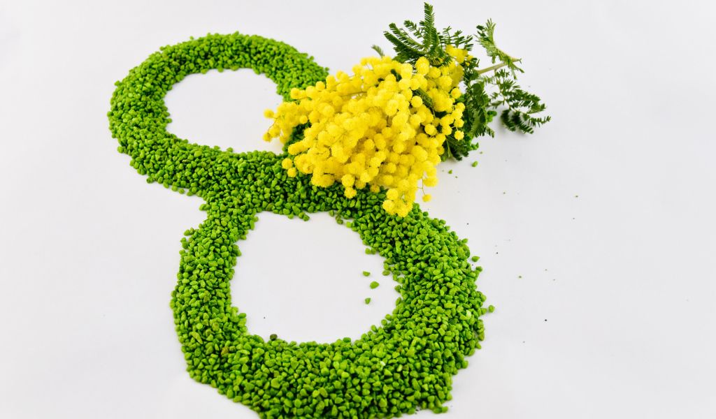 8 марта и ветка мимозы на сером фоне