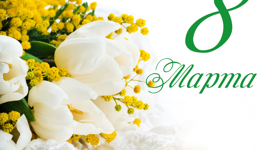 Белые тюльпаны и желтые цветы мимозы на белом фоне на Международный женский день 8 марта