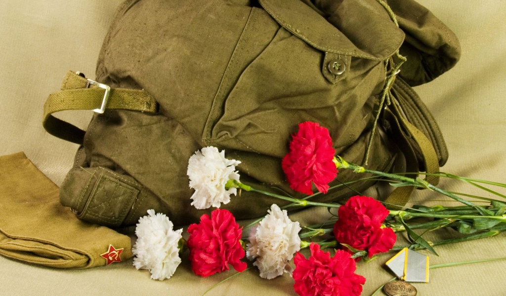 Рюкзак, букет гвоздик и орден на 9 мая