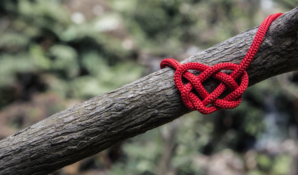 Креативное сердце из красной веревки на дереве