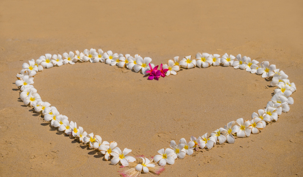 Сердце из цветов плюмерии на песке