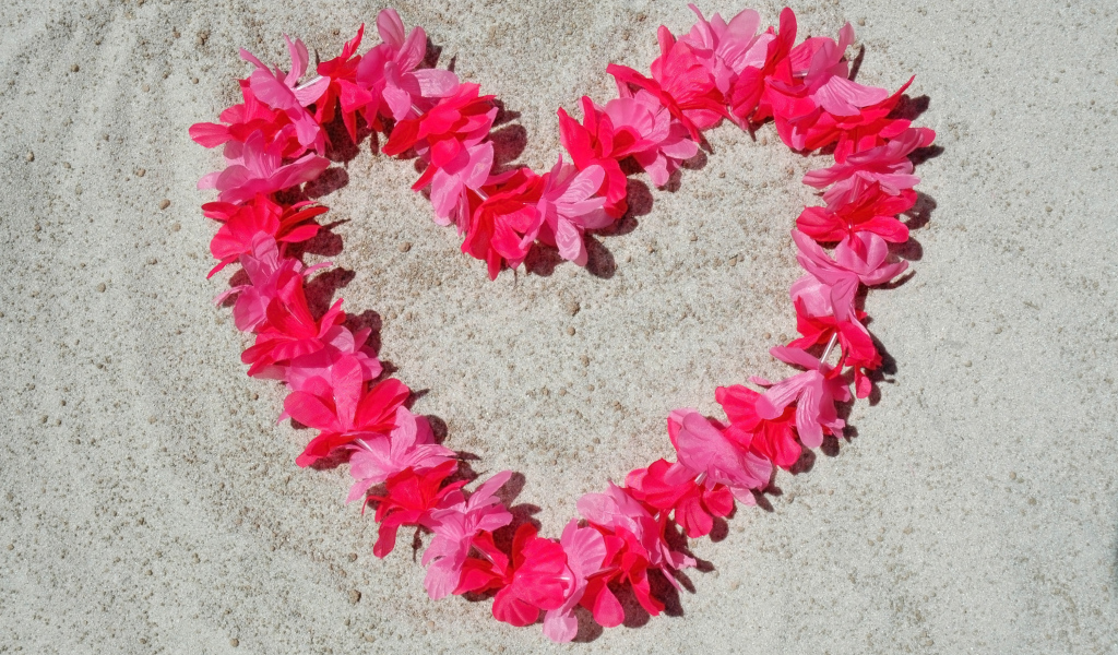Сердце из розовых цветов на песке