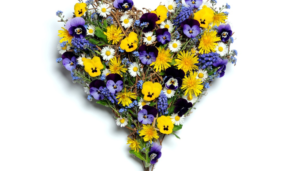 Сердце из полевых цветов на белом фоне