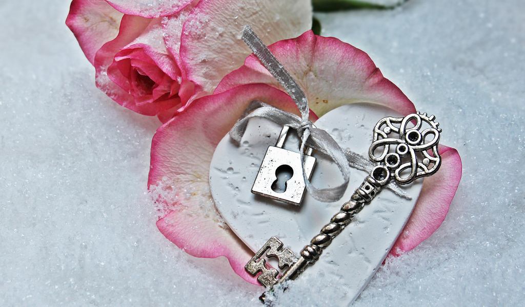 Розовая роза лежит на снегу с ключом