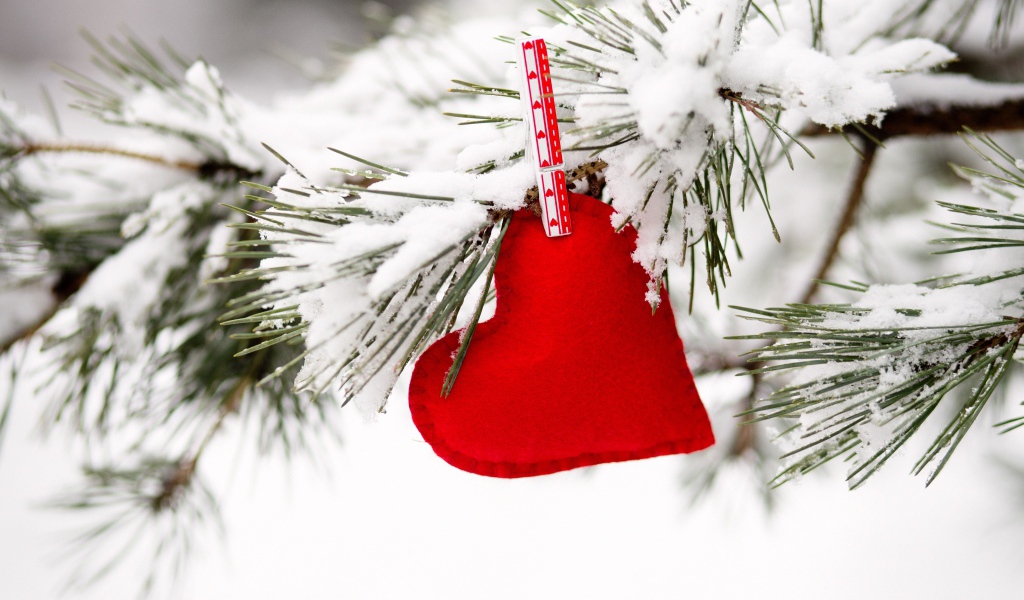 Красное сердечно висит на покрытой снегом сосновой ветке