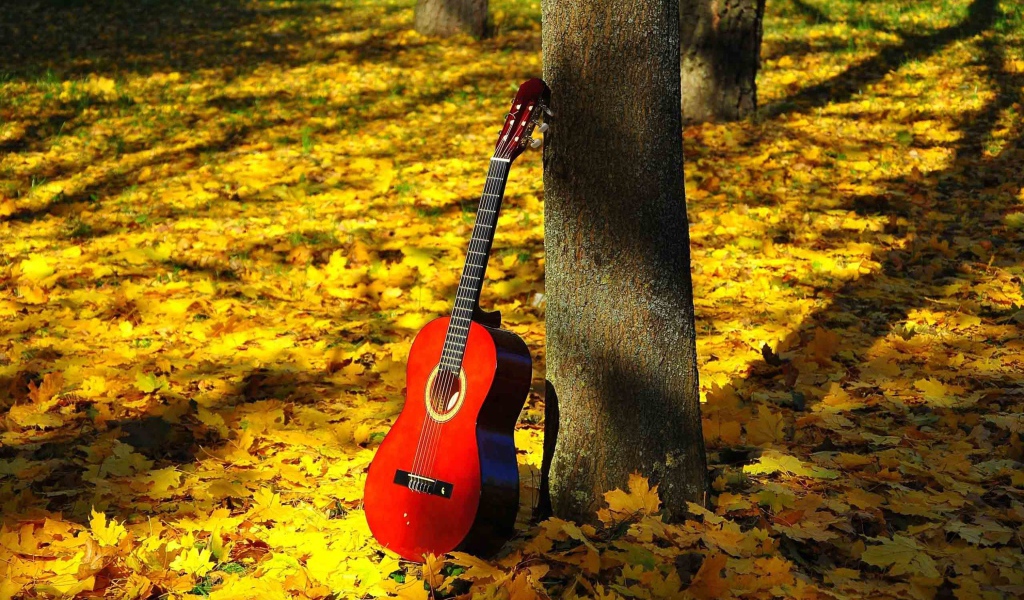 Красная гитара стоит у дерева на опавшей листве осенью 