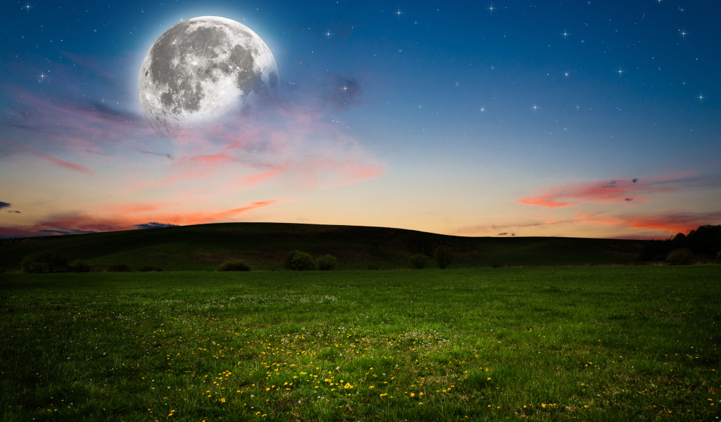 Большая луна в небе над зеленым лугом