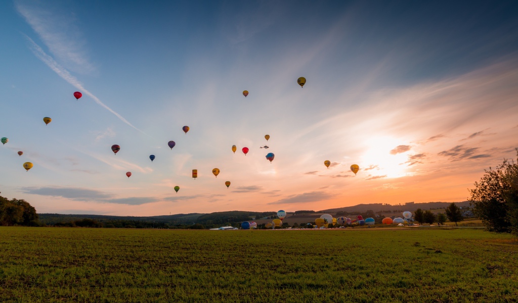 Balloons in the sky above the green field