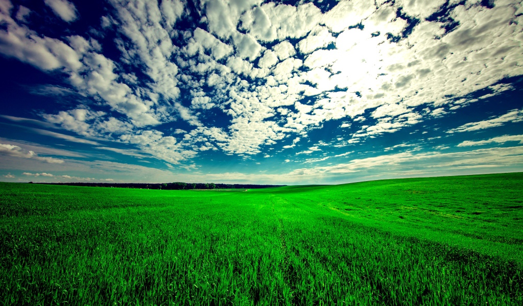 Красивые белые облака в голубом небе над зеленым полем