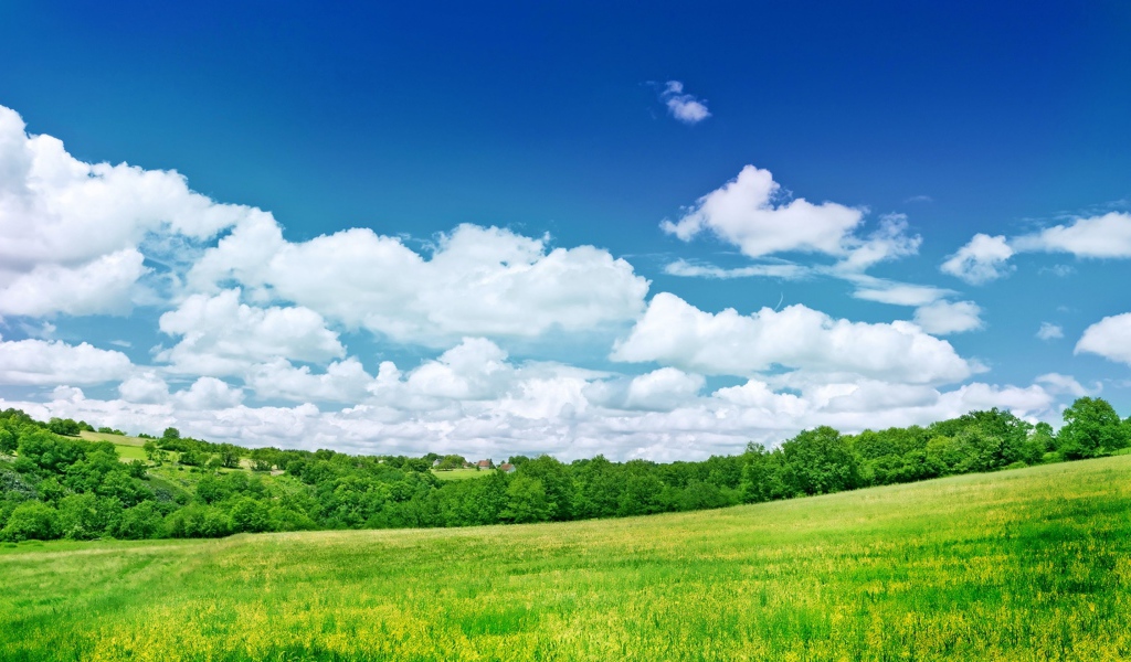 Голубое небо с белыми облаками над зеленым полем 