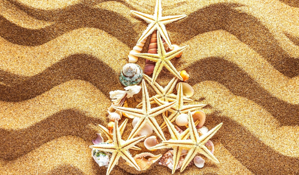 Fir-tree from starfishes on multi-colored sand