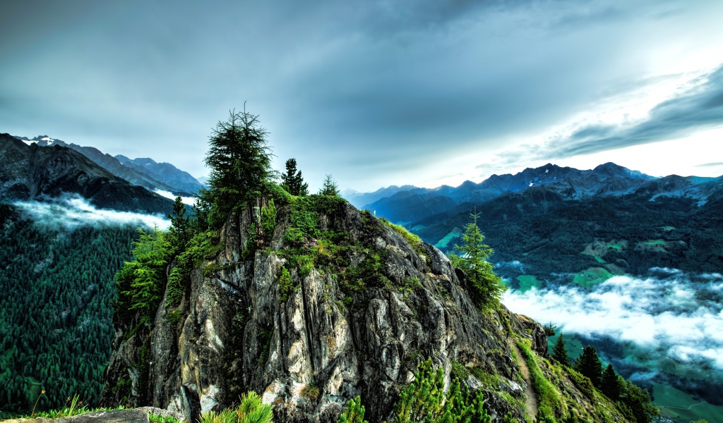 Ели на вершине скалы под  пасмурным небом 