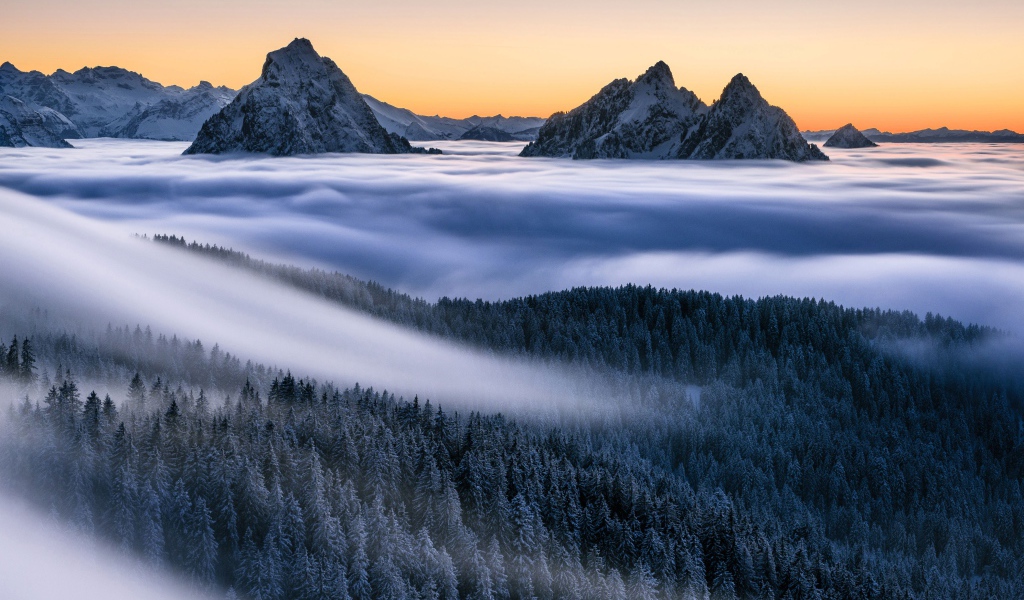 Туман покрывает лес и заснеженные верхушки гор