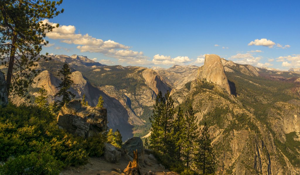 Покрытые лесом горы под голубым небом 
