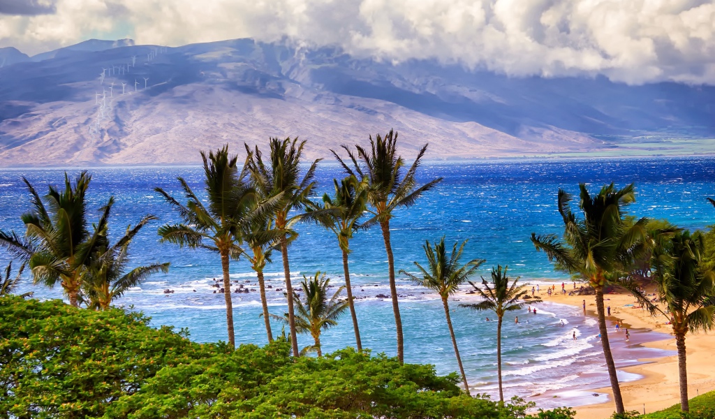 Зеленые пальмы на пляже у океана на фоне гор