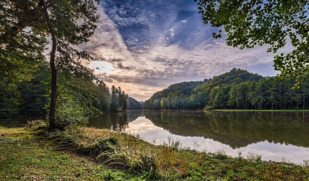 Зеленые деревья на берегу реки под красивым небом