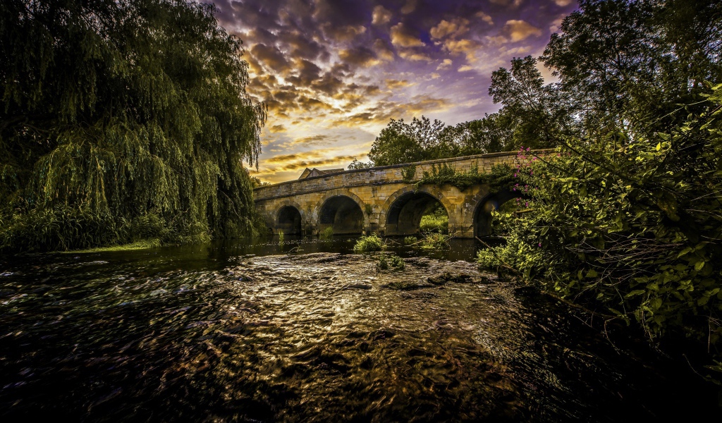 Зеленые ивы на берегу реки у старого моста под красивым небом