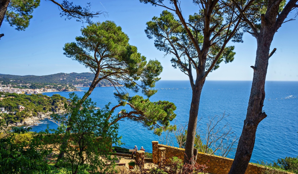 Высокие деревья на побережье на фоне моря, Испания