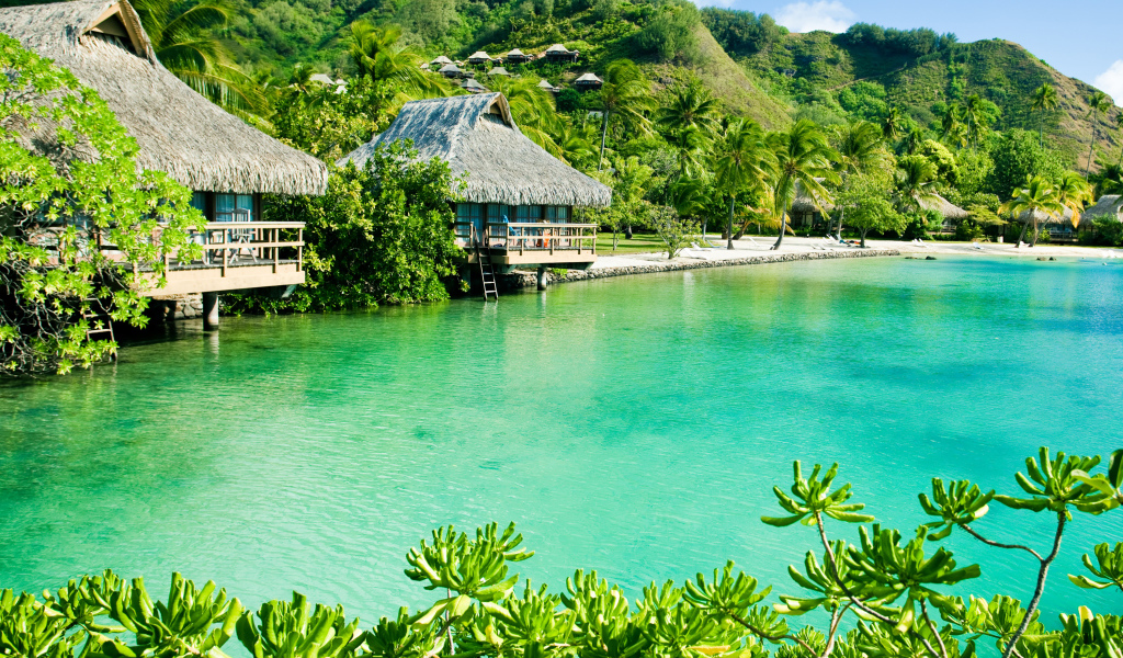 Дома на сваях на зеленом тропическом пляже