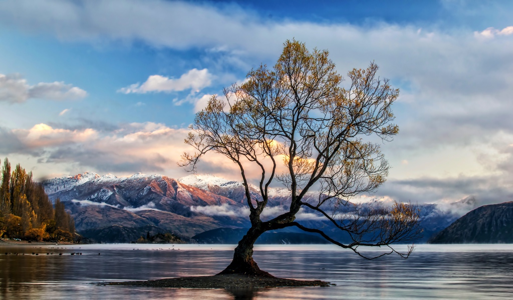 Островок с деревом посреди озера на фоне гор