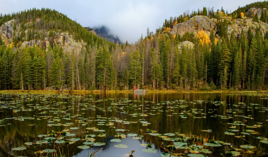 Озеро на фоне соснового леса у подножия гор