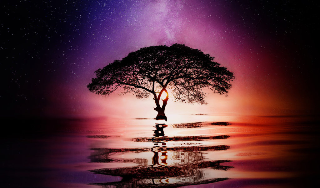 Большое ветвистое дерево в воде