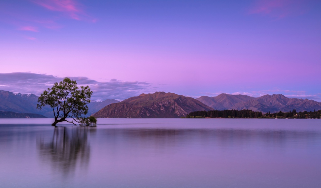 Одинокое дерево в воде на фоне гор на закате