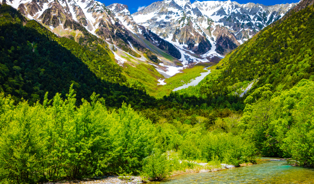 Горная река на фоне заснеженных гор с зеленой растительностью