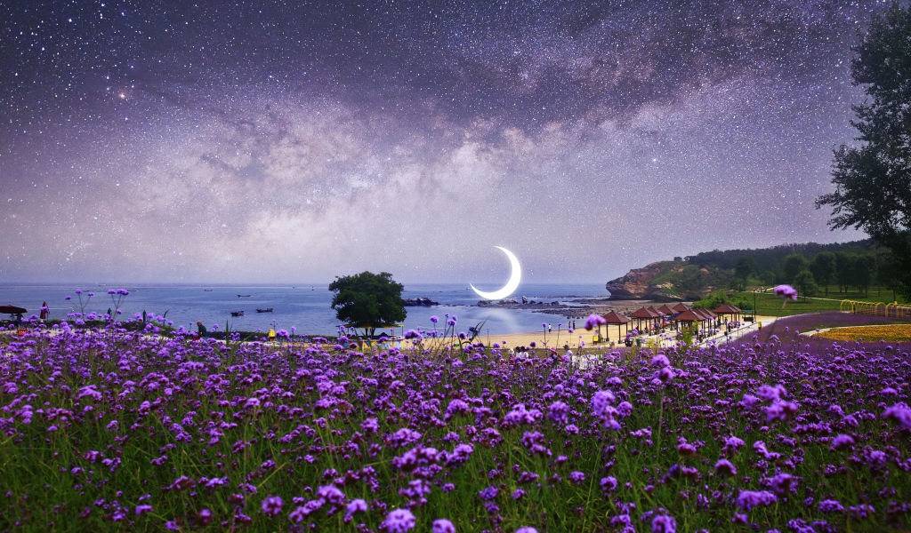 Фиолетовые полевые цветы на фоне ночного неба с большим месяцем 