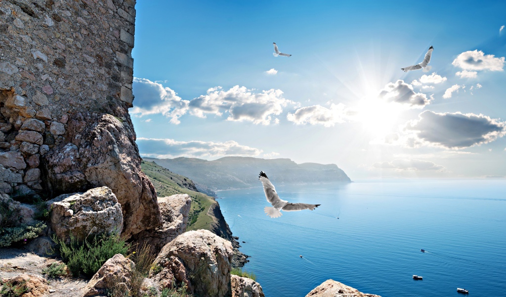 Чайки летают у скалы в лучах солнца под красивым голубым небом