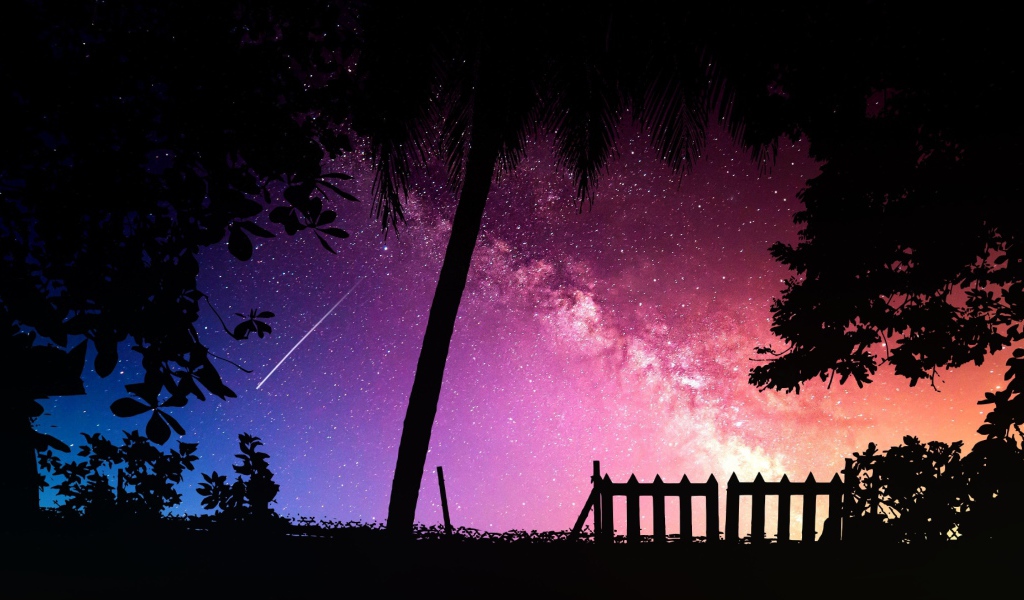 Силуэты деревьев на фоне звездного неба