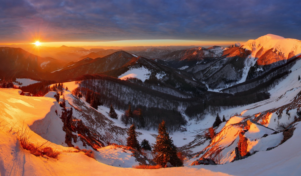 Заснеженные горы, покрытые деревьями в лучах солнца на закате