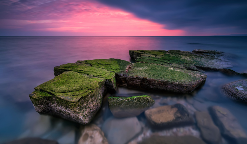 Покрытые зеленым мхом камни в воде